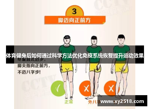 体育健身后如何通过科学方法优化免疫系统恢复提升运动效果